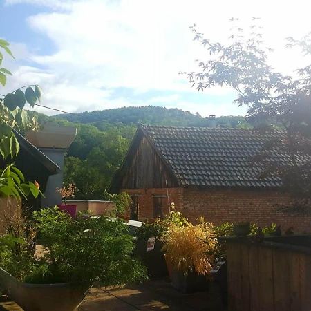 "Cote Nature", Appartement Cosy Au Coeur De Munster Мюнстер Екстериор снимка
