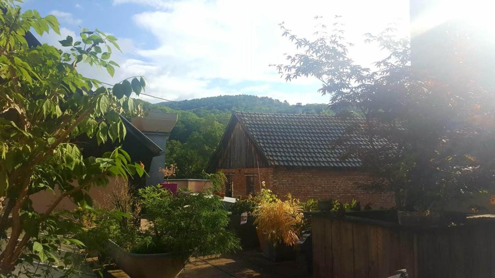 "Cote Nature", Appartement Cosy Au Coeur De Munster Мюнстер Екстериор снимка