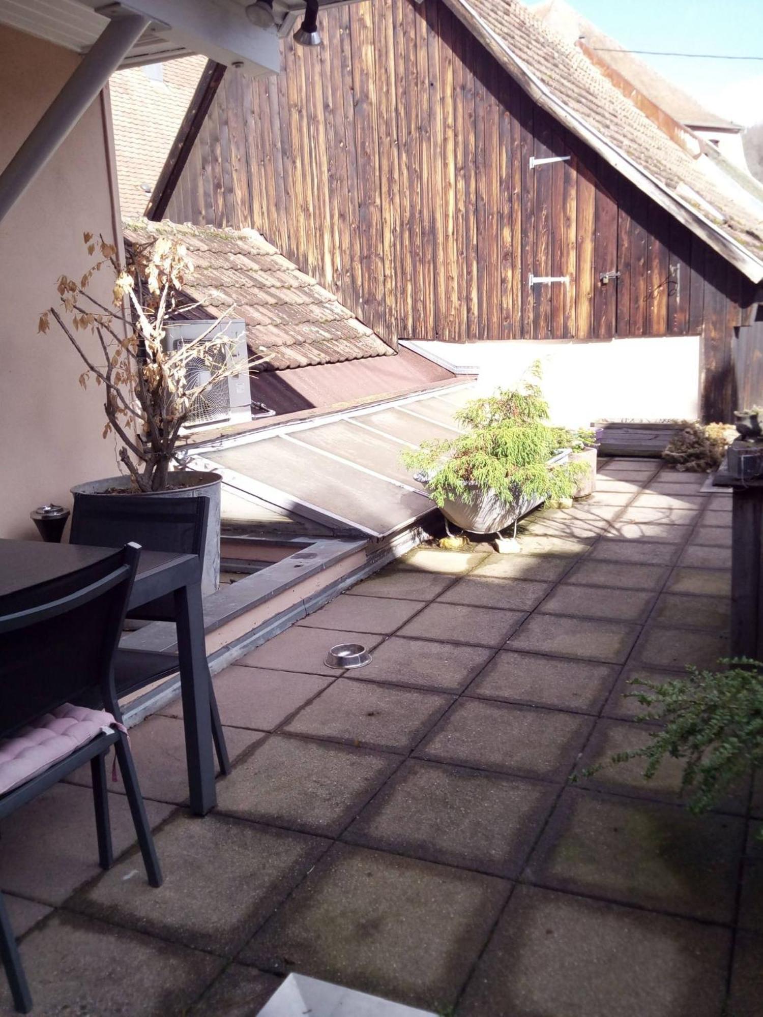 "Cote Nature", Appartement Cosy Au Coeur De Munster Мюнстер Екстериор снимка