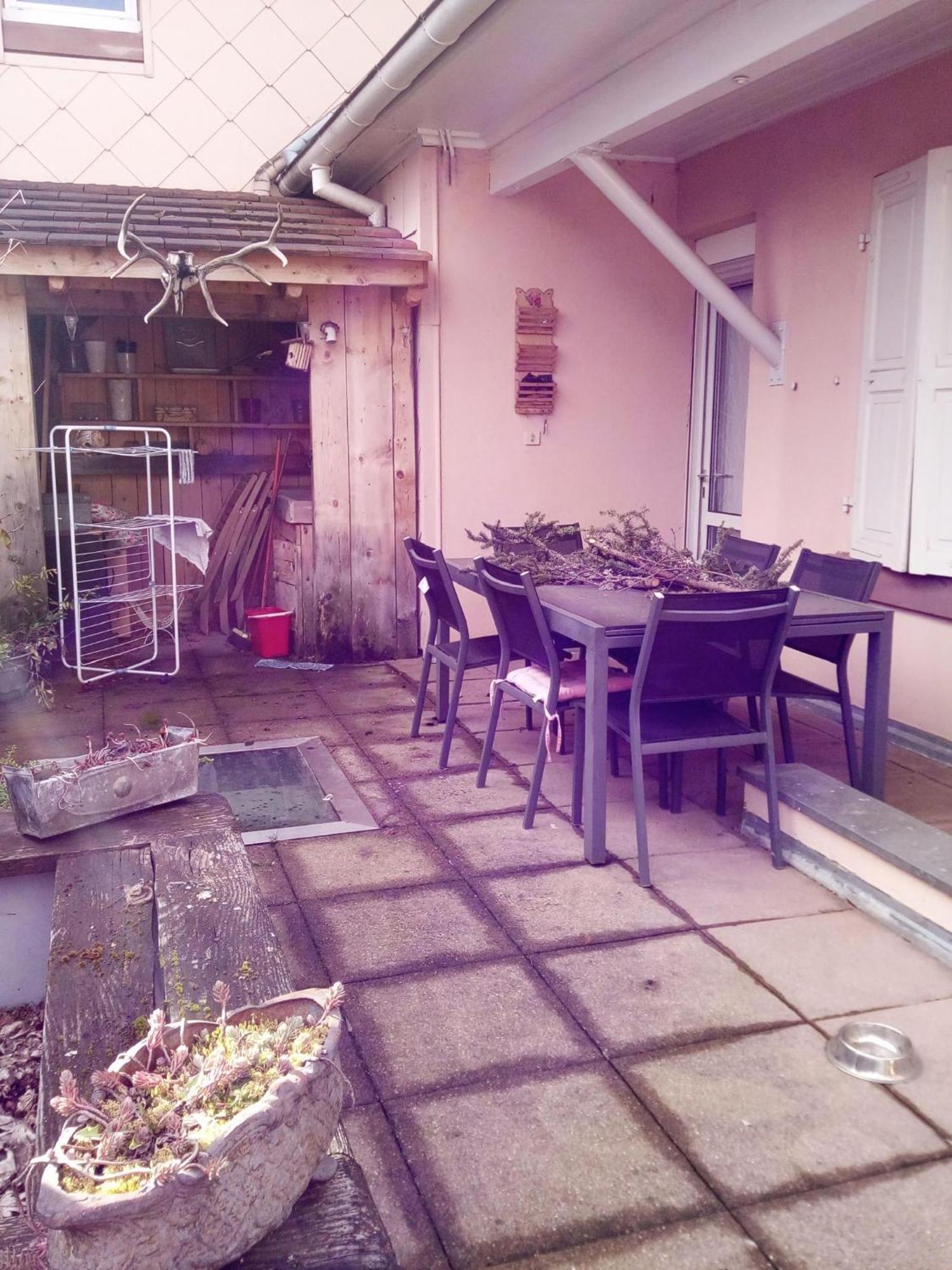 "Cote Nature", Appartement Cosy Au Coeur De Munster Мюнстер Екстериор снимка